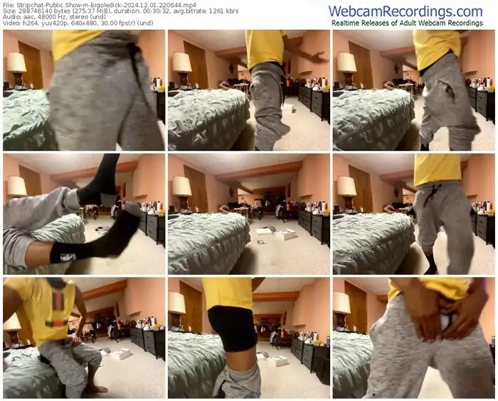 stripchat-bigoledick-12-01-2024-22-06-44