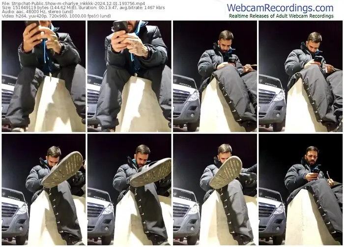 stripchat-charlye_inkkkk-12-01-2024-19-37-56