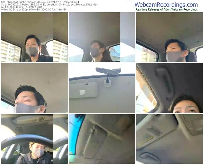 stripchat-da--------i-12-01-2024-03-54-30