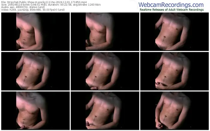 stripchat-pocky1111tw-12-01-2024-17-18-50