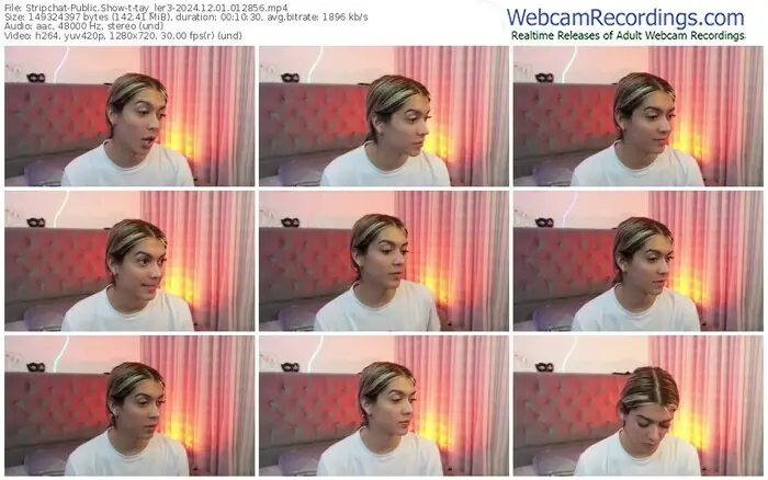 stripchat-tay_ler3-12-01-2024-01-28-56