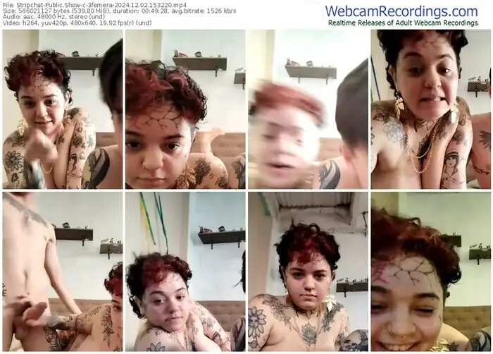 stripchat-3femera-12-02-2024-15-32-20