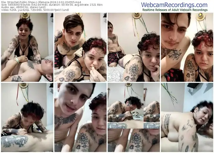 stripchat-3femera-12-02-2024-20-45-55