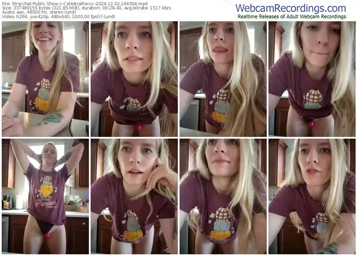 stripchat-celestialfoxxx-12-02-2024-16-43-54