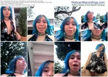 stripchat-gerallfoxxx-12-02-2024-22-13-14