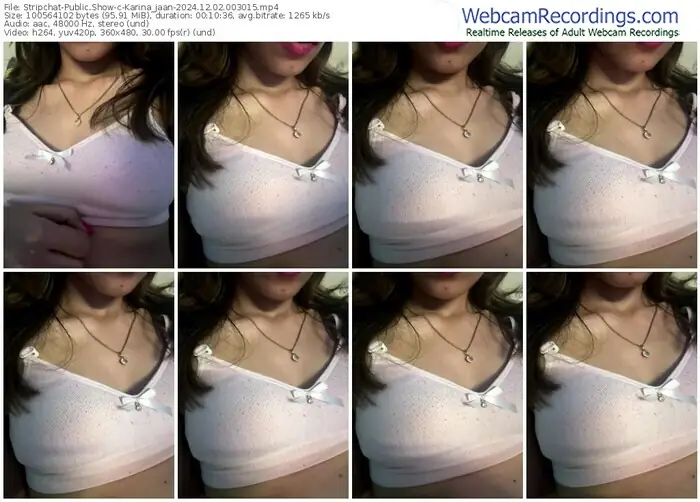 stripchat-karina_jaan-12-02-2024-00-30-15