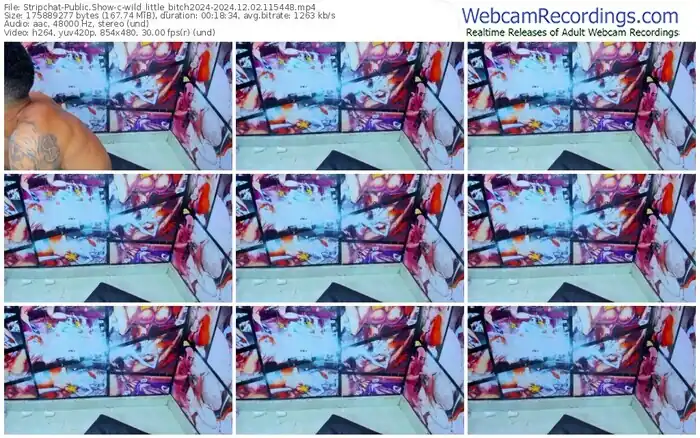 stripchat-wild_little_bitch2024-12-02-2024-11-54-48