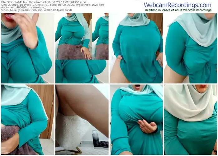 stripchat-amalarabic-12-02-2024-10-49-30