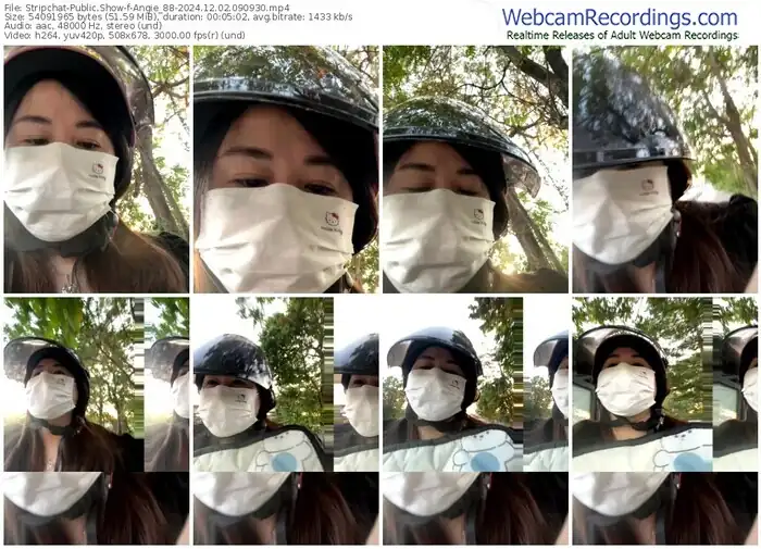 stripchat-angie_88-12-02-2024-09-09-30