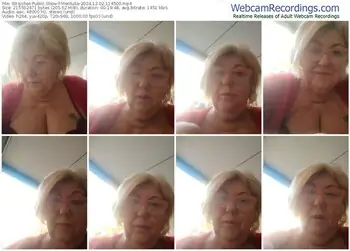 stripchat-merilulla-12-02-2024-11-45-00