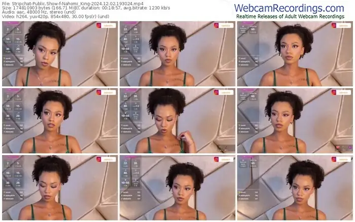 stripchat-nahomi_king-12-02-2024-19-30-24