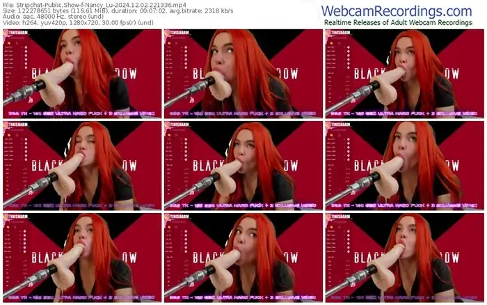 stripchat-nancy_lu-12-02-2024-22-13-36