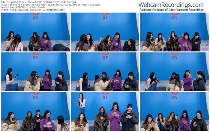 stripchat-ss119-12-02-2024-13-41-33