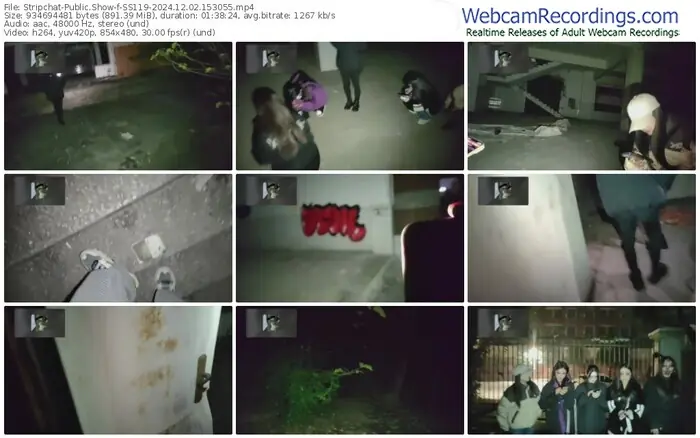 stripchat-ss119-12-02-2024-15-30-55