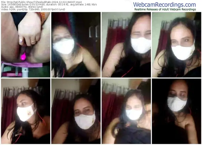 stripchat-sheela-bhabi-12-02-2024-18-40-07