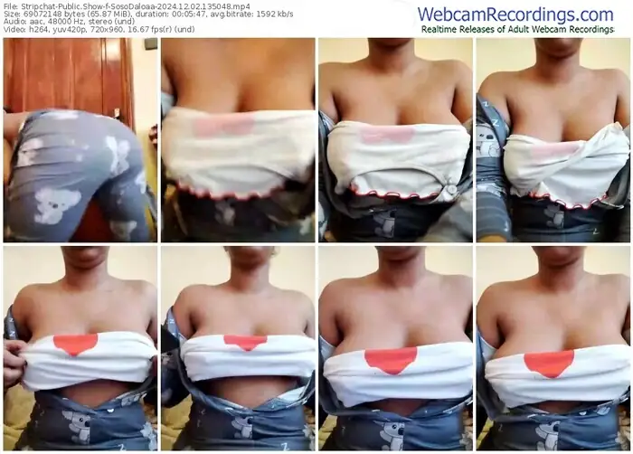 stripchat-sosodaloaa-12-02-2024-13-50-48