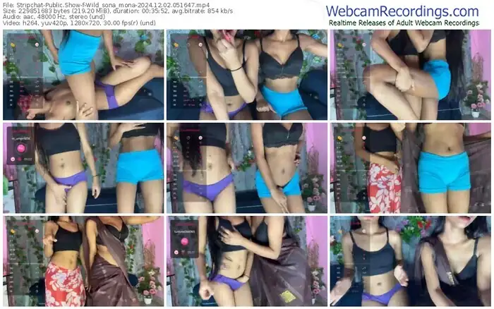 stripchat-wild_sona_mona-12-02-2024-05-16-47