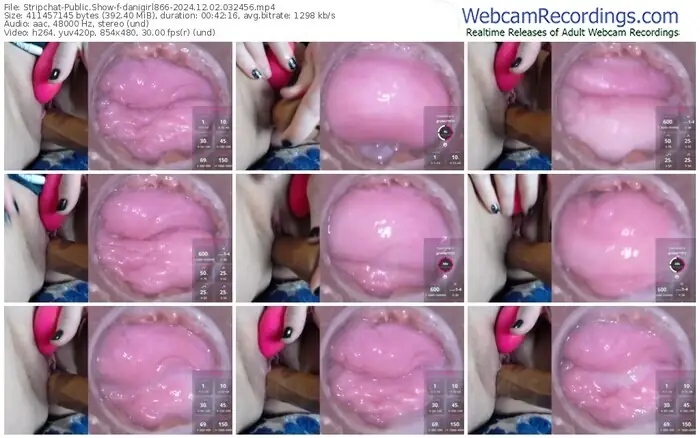 stripchat-danigirl866-12-02-2024-03-24-56