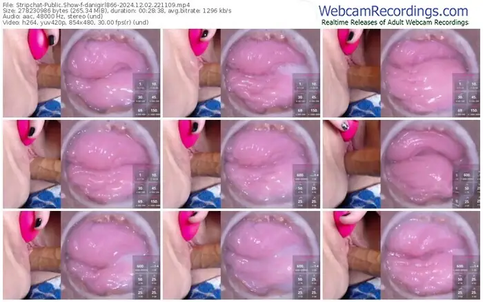 stripchat-danigirl866-12-02-2024-22-11-09