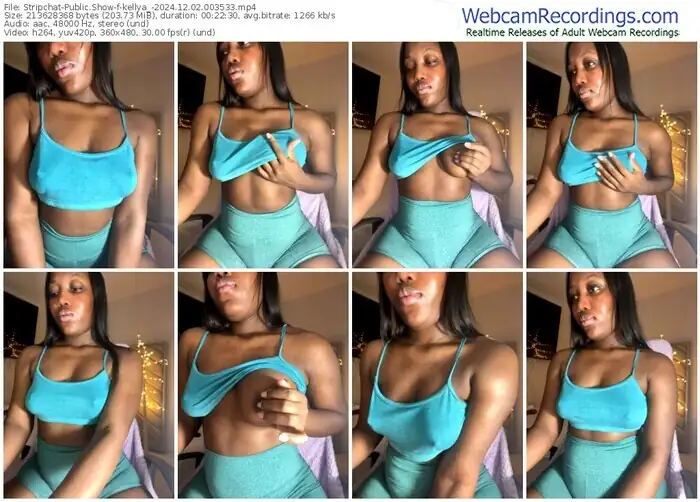 stripchat-kellya_-12-02-2024-00-35-33