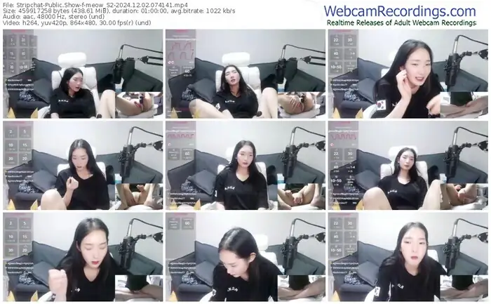 stripchat-meow_s2-12-02-2024-07-41-41