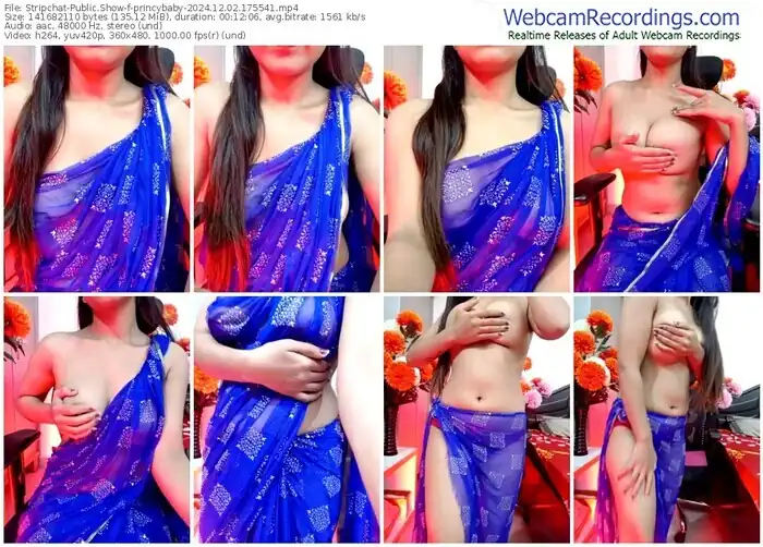 stripchat-princybaby-12-02-2024-17-55-41