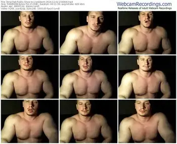 stripchat-lionedwin-12-02-2024-23-40-04