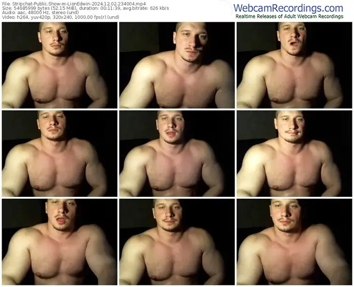 stripchat-lionedwin-12-02-2024-23-40-04