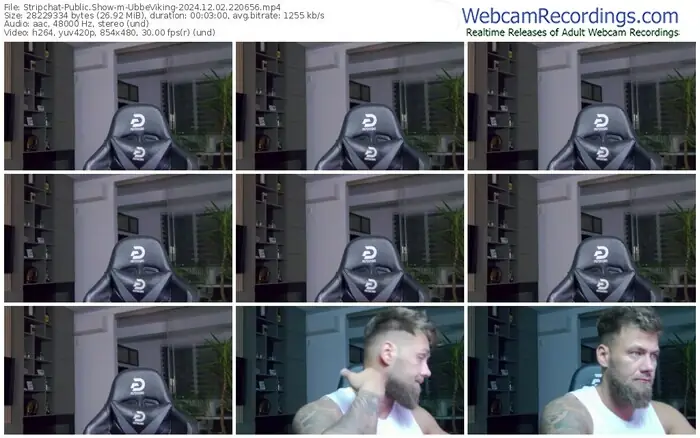 stripchat-ubbeviking-12-02-2024-22-06-56