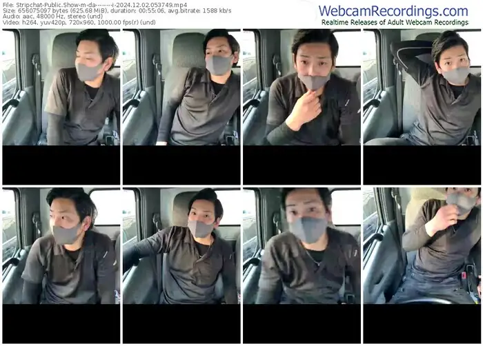 stripchat-da--------i-12-02-2024-05-37-49