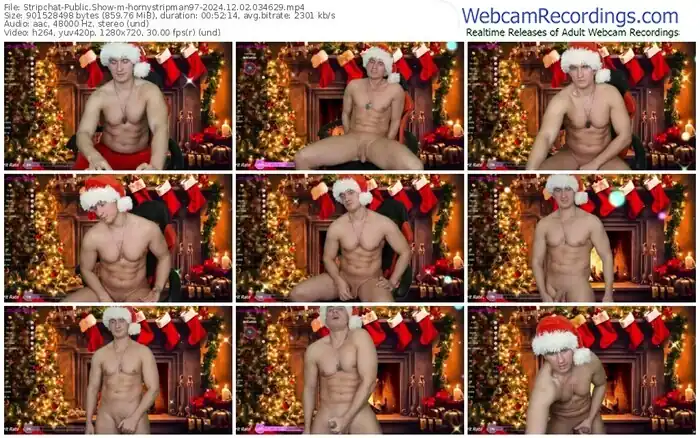 stripchat-hornystripman97-12-02-2024-03-46-29