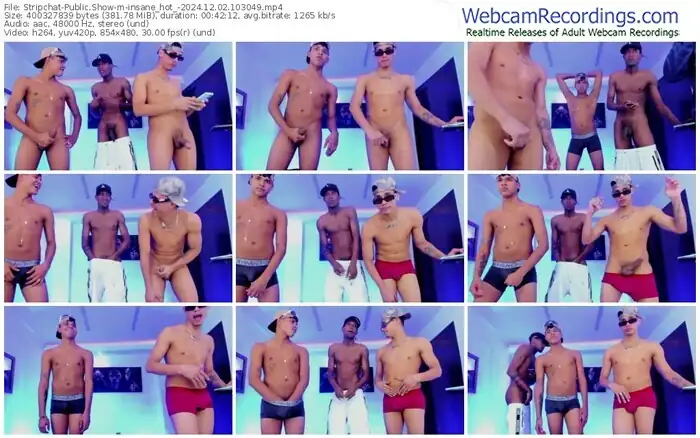 stripchat-insane_hot_-12-02-2024-10-30-49