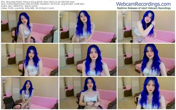 stripchat-alisa_black_star-12-02-2024-08-15-06