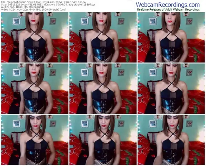 stripchat-hothornyasian-12-02-2024-16-48-10