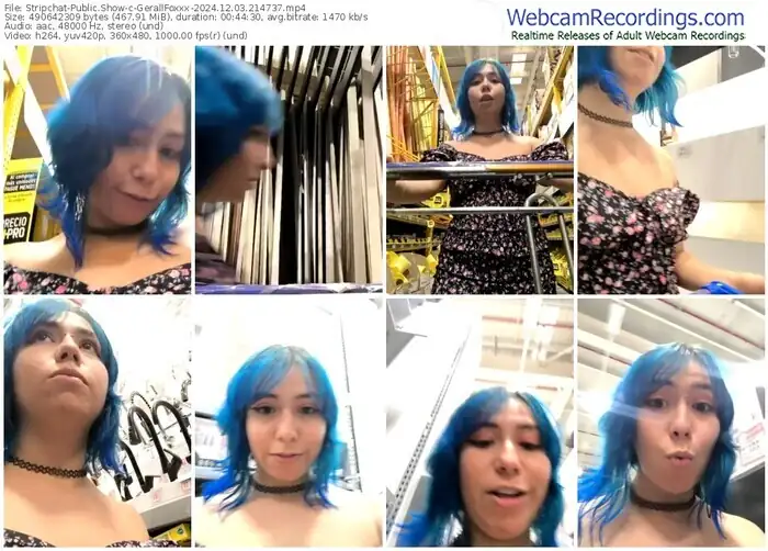 stripchat-gerallfoxxx-12-03-2024-21-47-37