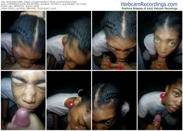 stripchat-mypersonalslv-12-03-2024-02-35-53