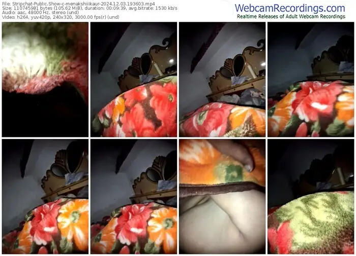 stripchat-menakshiiikaur-12-03-2024-19-36-03