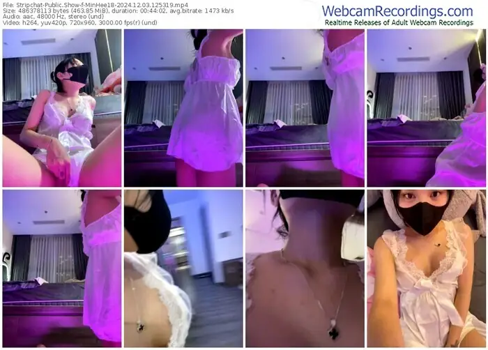 stripchat-minhee18-12-03-2024-12-53-19