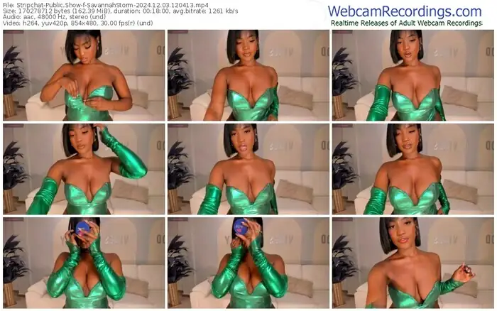 stripchat-savannahstorm-12-03-2024-12-04-13