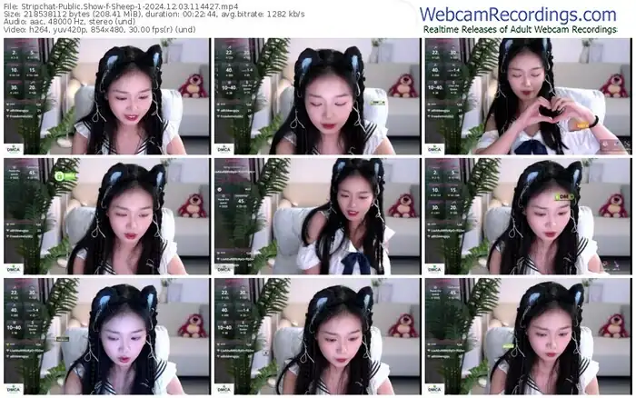 stripchat-sheep-1-12-03-2024-11-44-27