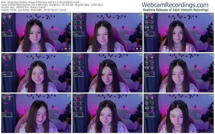 stripchat-shyvivi-12-03-2024-02-58-10