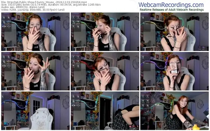 stripchat-sunny_mouse_-12-03-2024-15-02-04