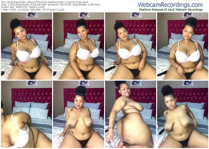 stripchat-thickass_barbie-12-03-2024-01-10-41