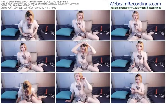 stripchat-idwenwen666-12-03-2024-13-52-56