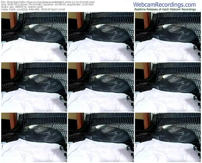 stripchat-hunghawaiian808@xh-12-03-2024-01-34-39