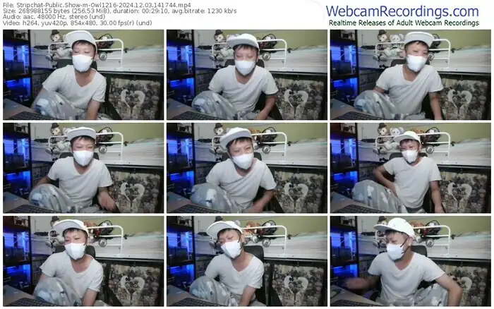 stripchat-owl1216-12-03-2024-14-17-44