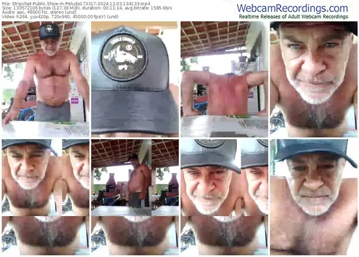 stripchat-peludo173317-12-03-2024-13-41-33