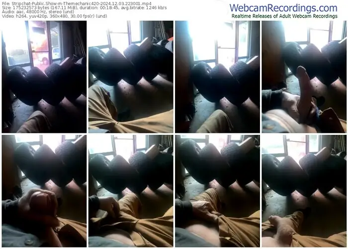 stripchat-themechanic420-12-03-2024-22-30-01