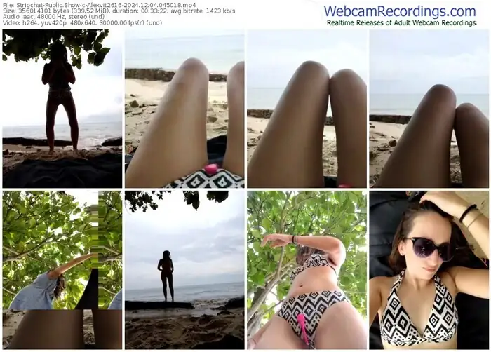 stripchat-alexvit2616-12-04-2024-04-50-18