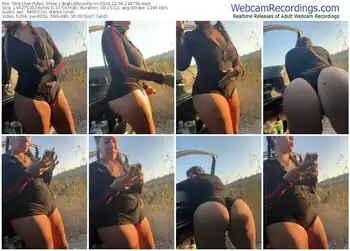 stripchat-bigbuttbrooklynn-12-04-2024-23-47-50